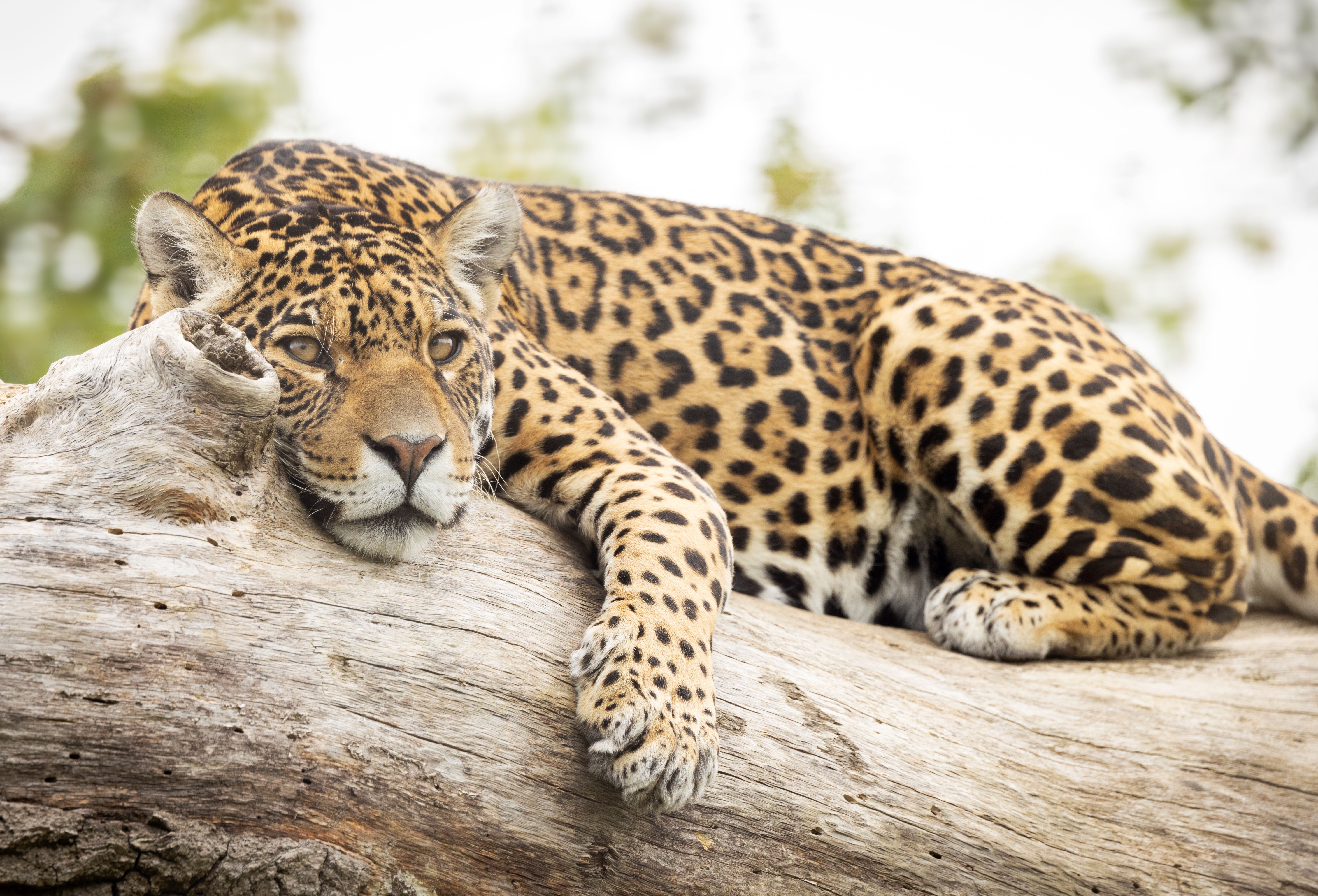 Sarah Medway Keira (Feb 2024) Resized