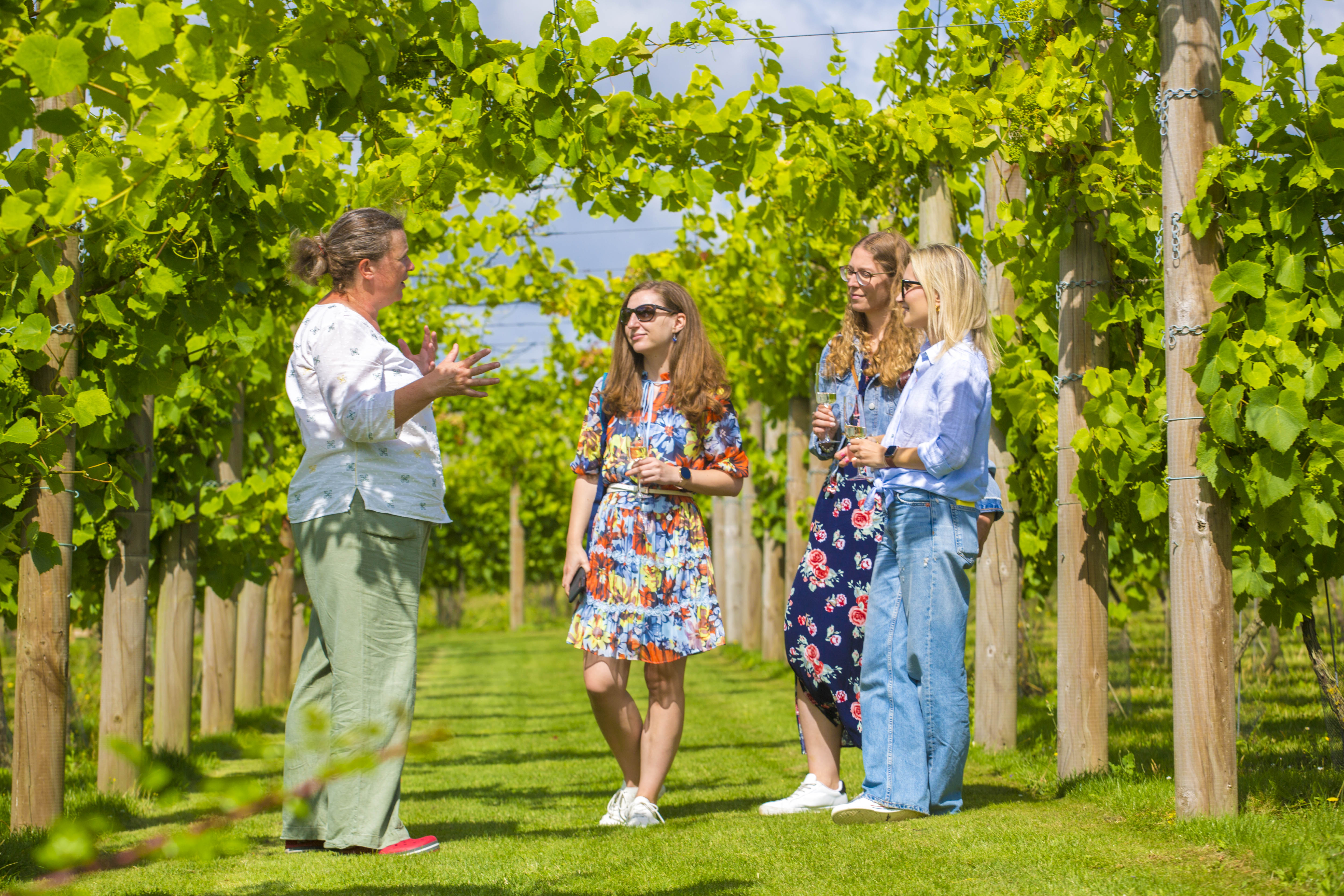 Brabourne Vineyard Business Entry (Credit To Poppy Hollis)