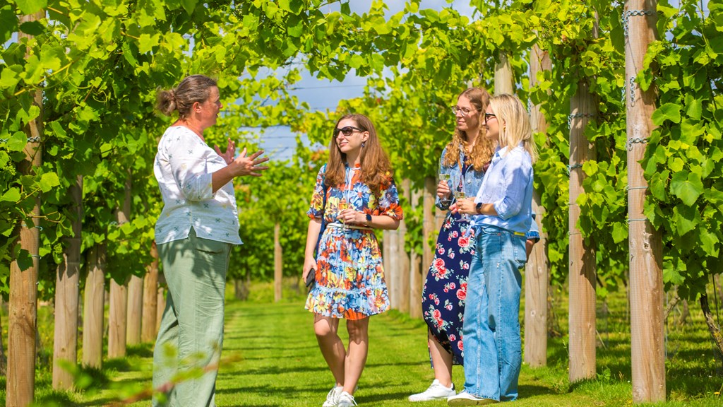 Brabourne Vineyard Business Entry (Credit To Poppy Hollis)