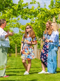 Brabourne Vineyard Business Entry (Credit To Poppy Hollis)
