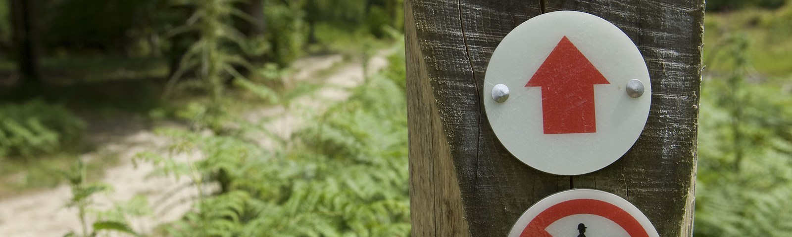 Countryside signs generic abc image.jpg