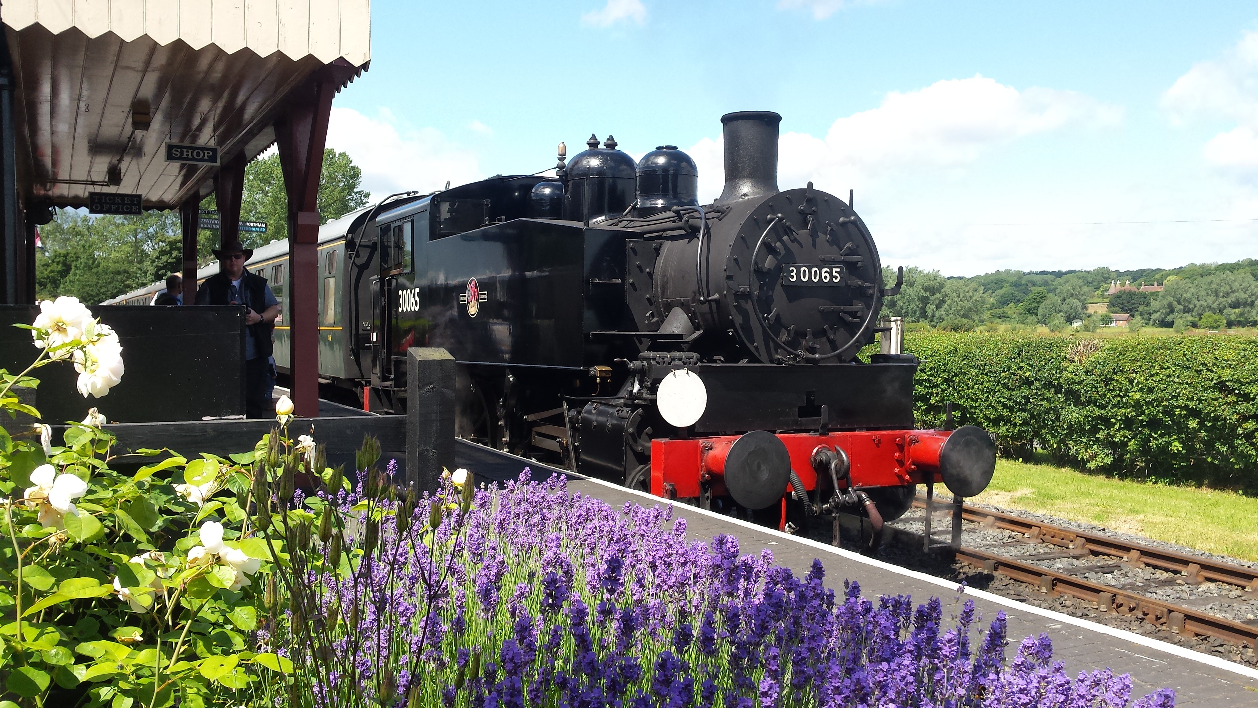 KESR Bluebells (Andrew Hardy).jpg