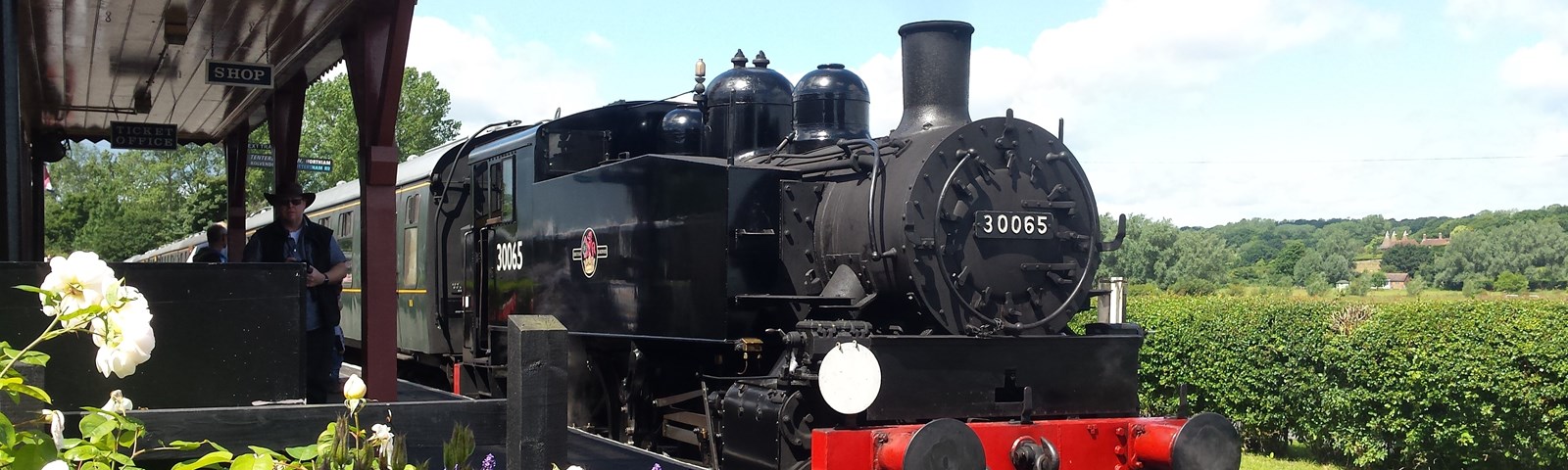 KESR Bluebells (Andrew Hardy).jpg