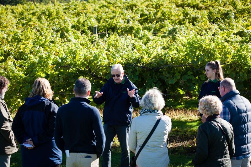 Biddenden Tour-C.jpg