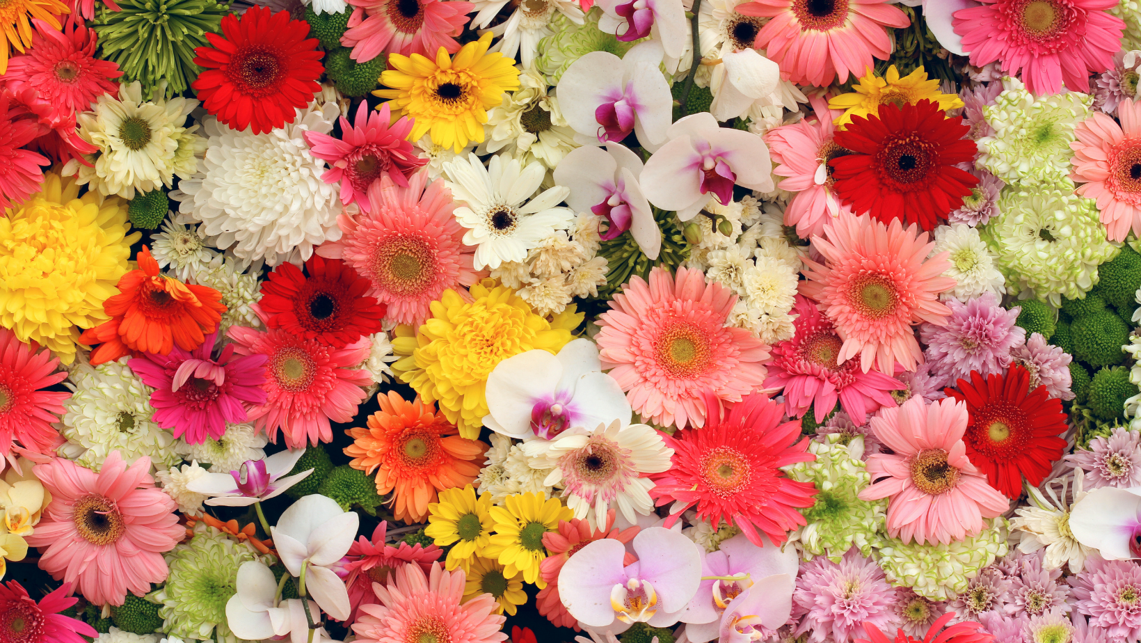 Flowers