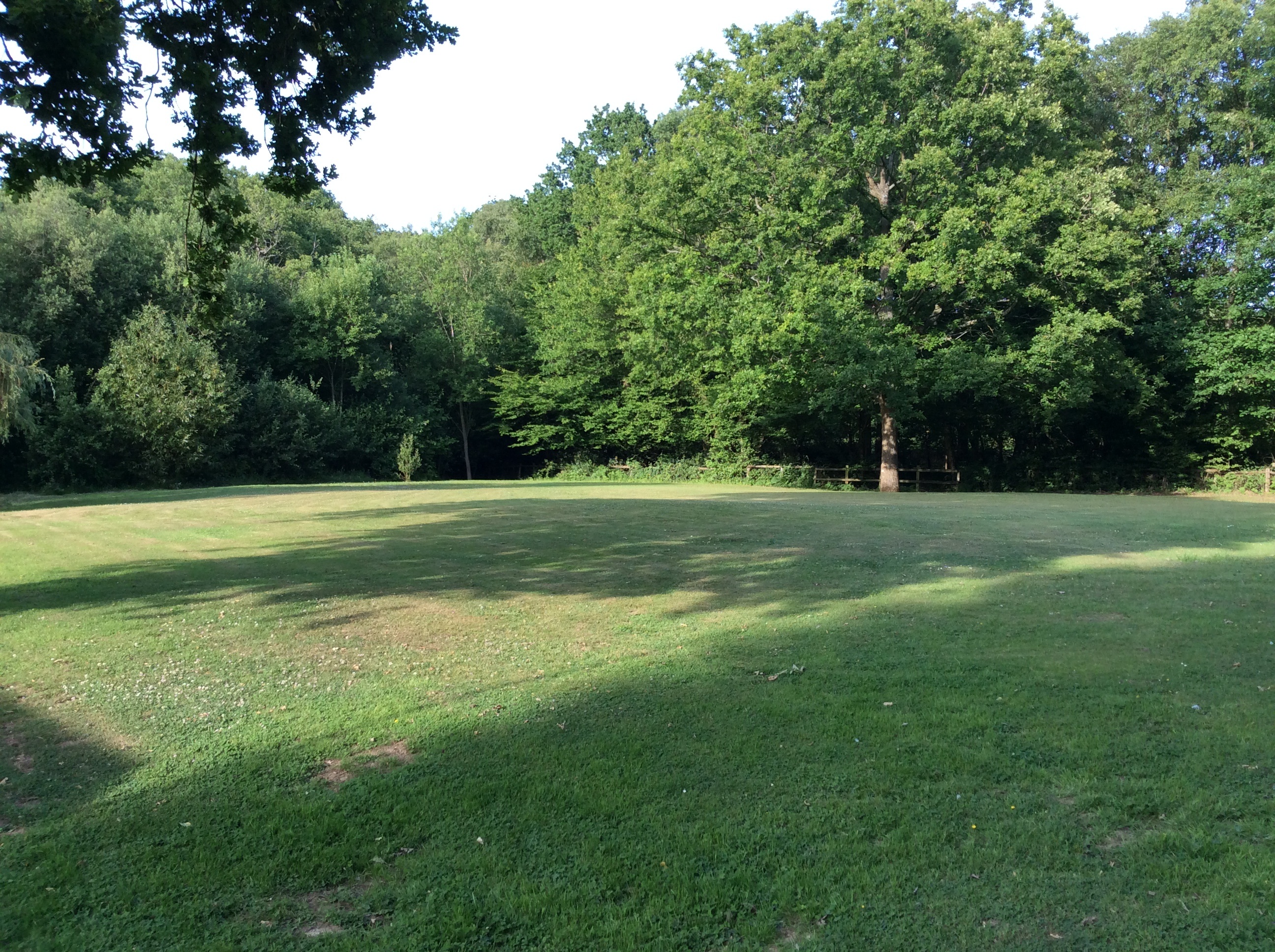 The Firs Fishery 2019 (C).JPG