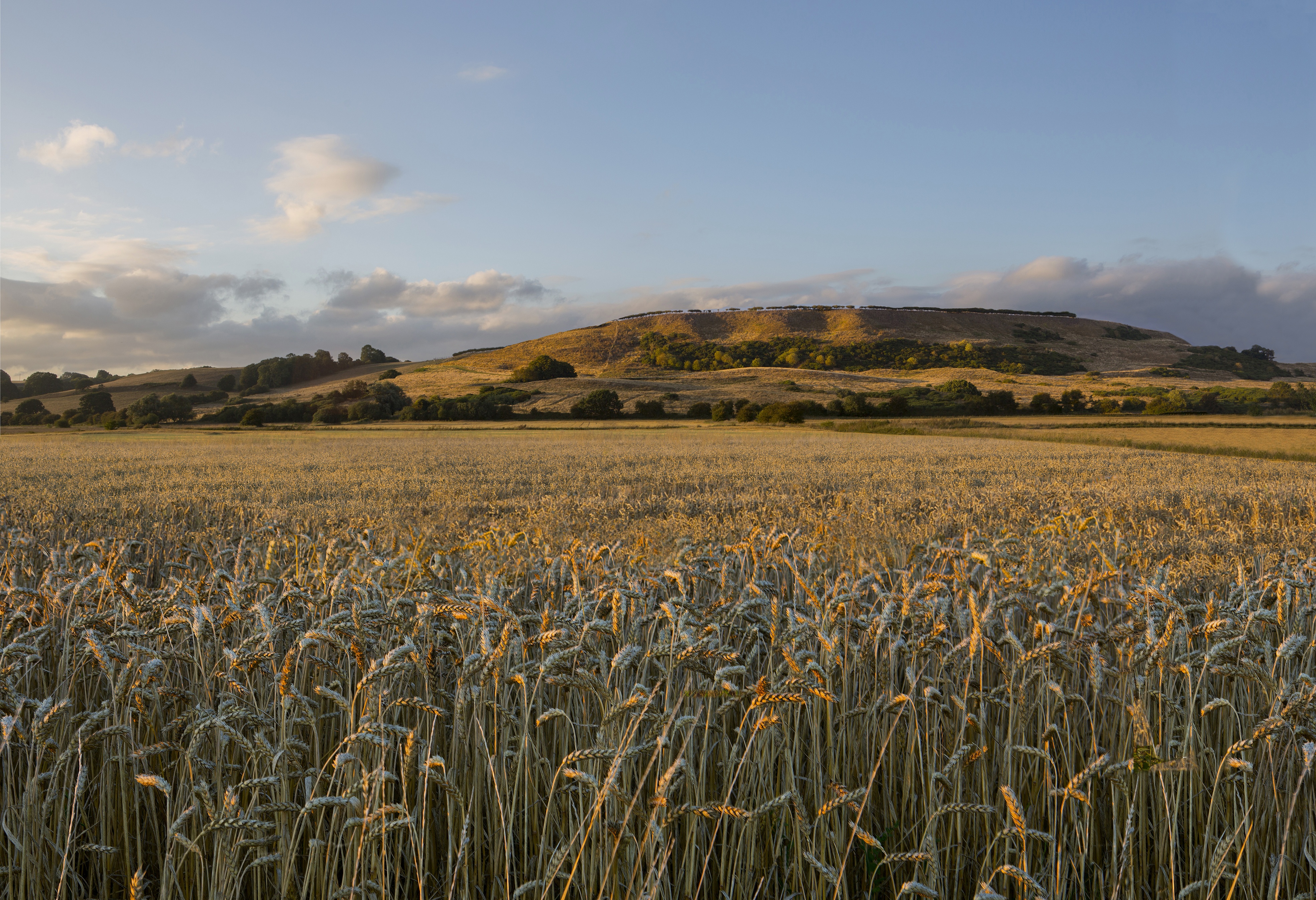 Wheatfields Glamping1