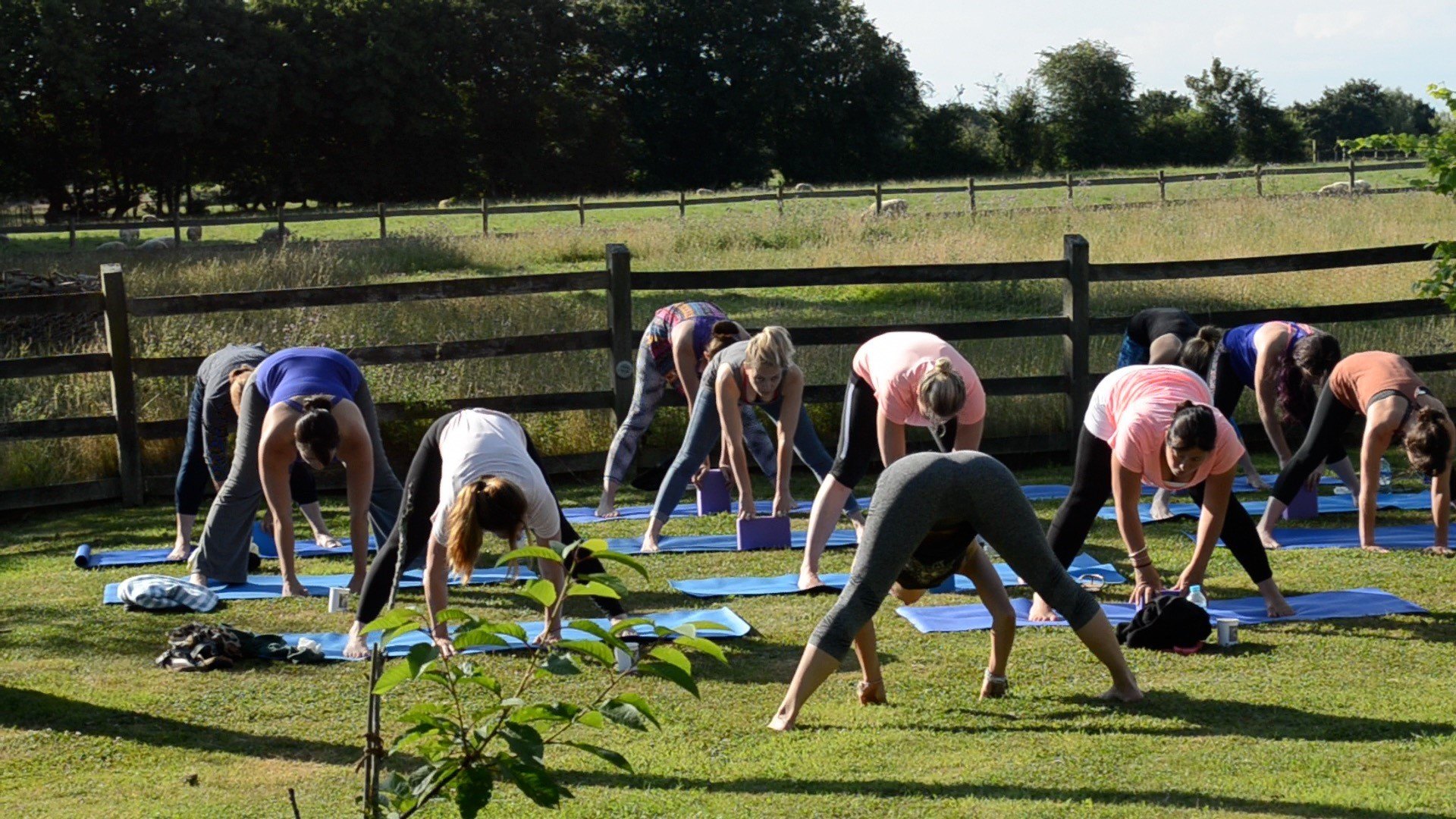 Green Farm Yoga (C)