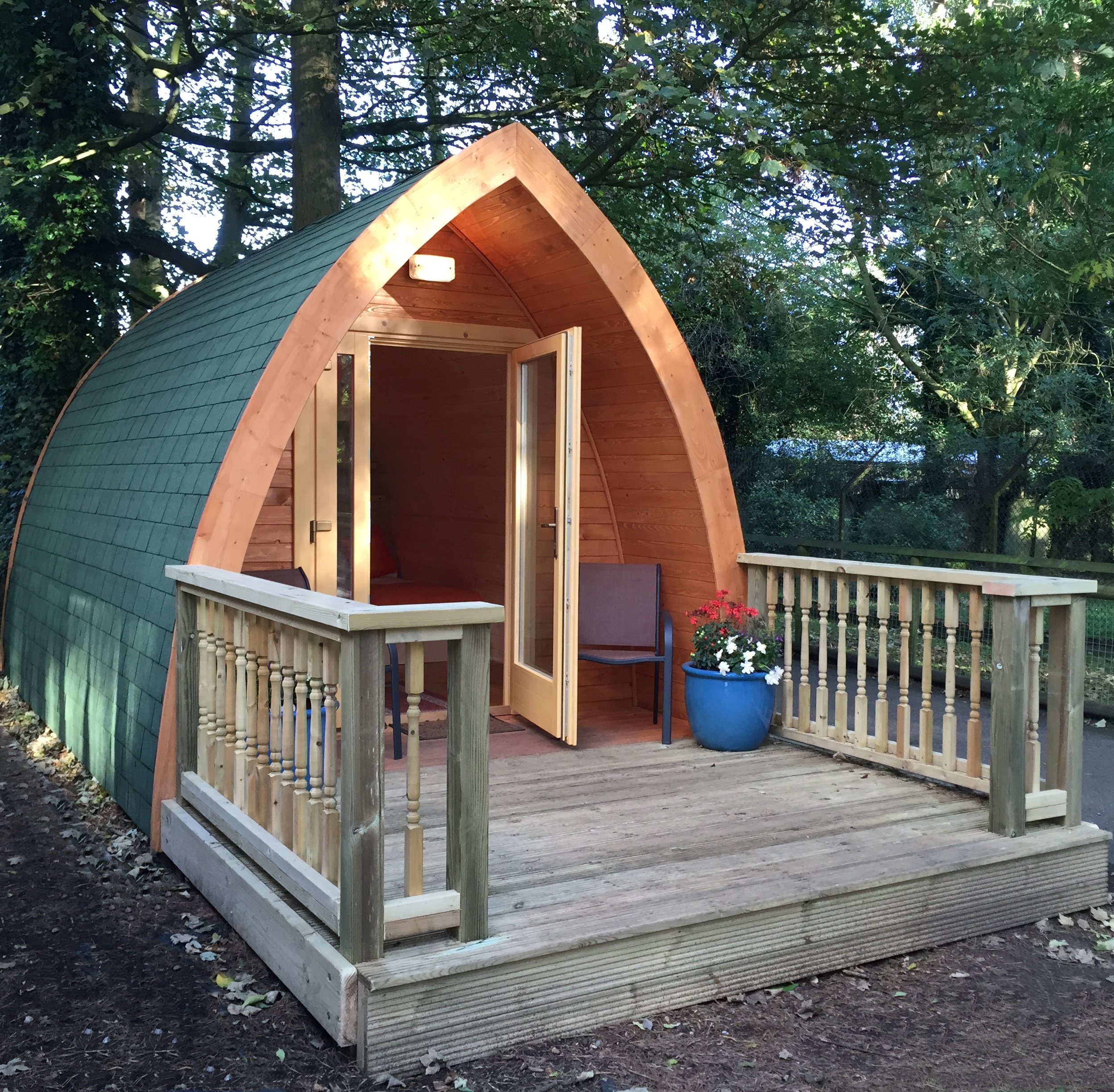 pinewood-camping-pods-at-port-lympne-reserve.jpg