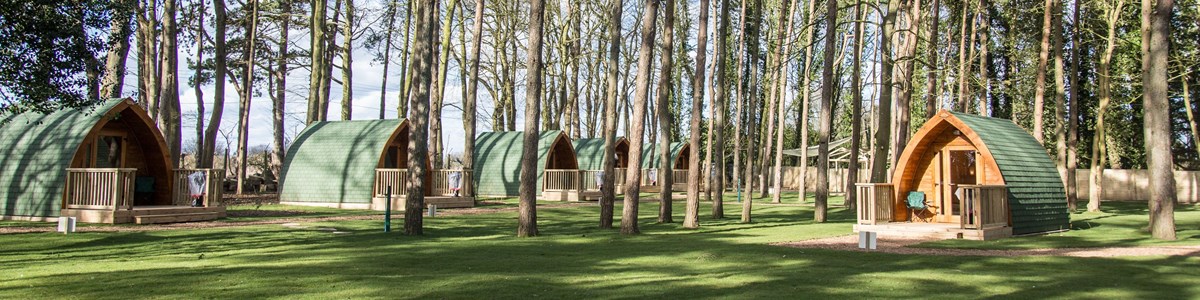 pinewood-pods-at-port-lympne-reserve.jpg