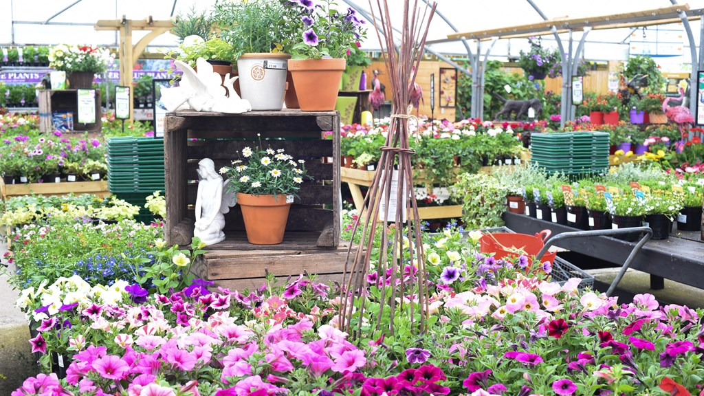 Tenterden GC6 June20 (C)