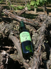 Biddenden Vineyards (Credit Visit Kent)