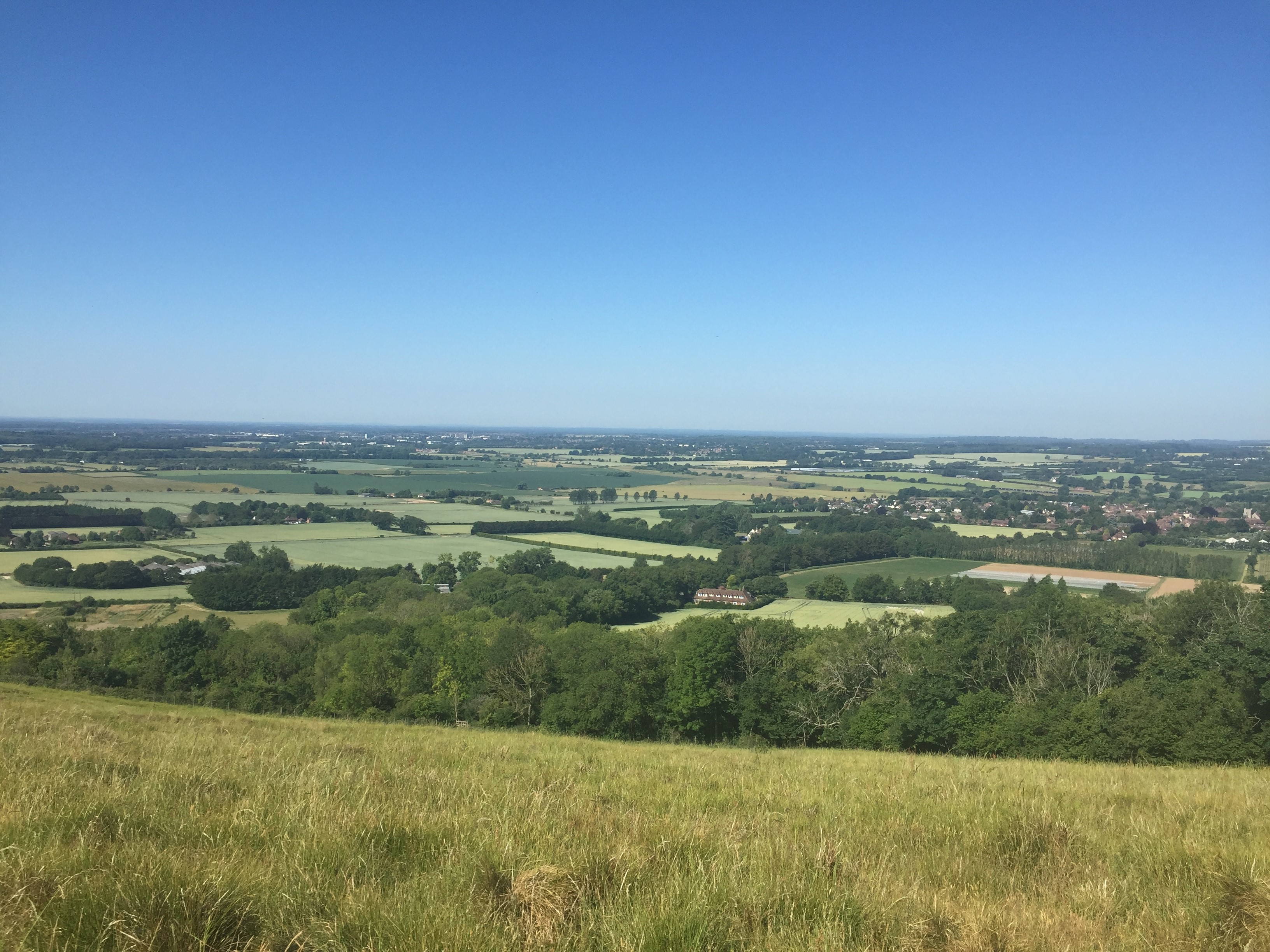 View From Wye Crown June2020 (AEVH)