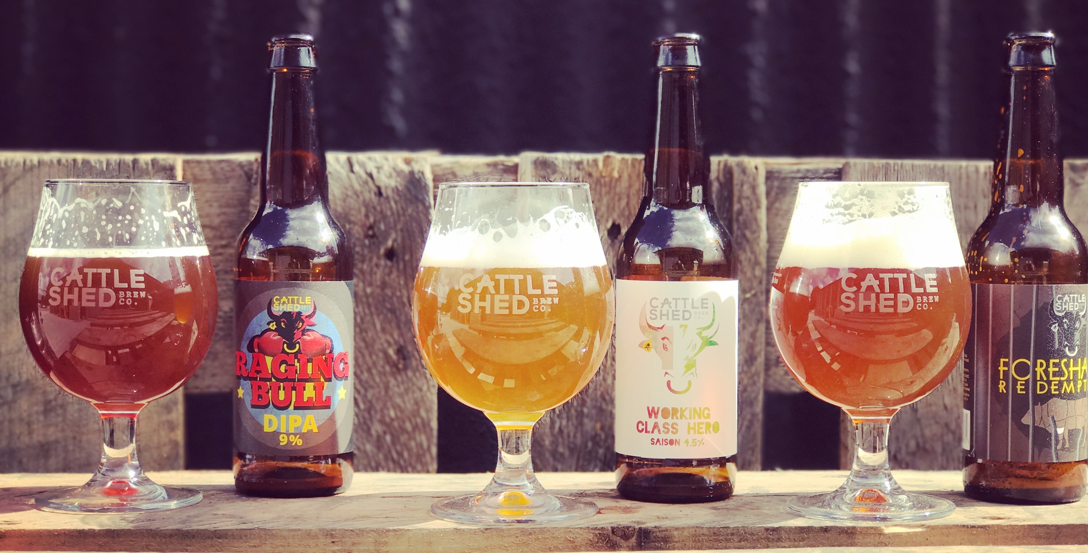 Old Dairy Brewery Cattle Shed Launch