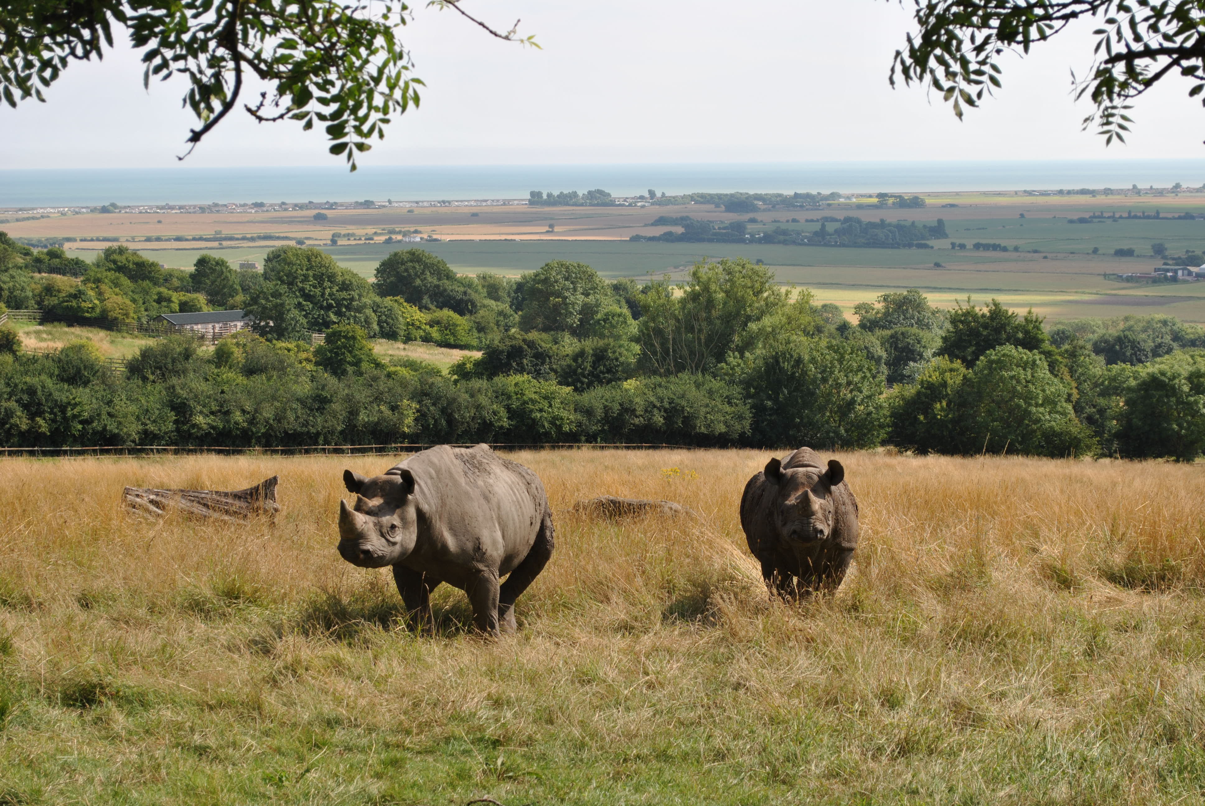 PORT LYMPNE RESERVE 3