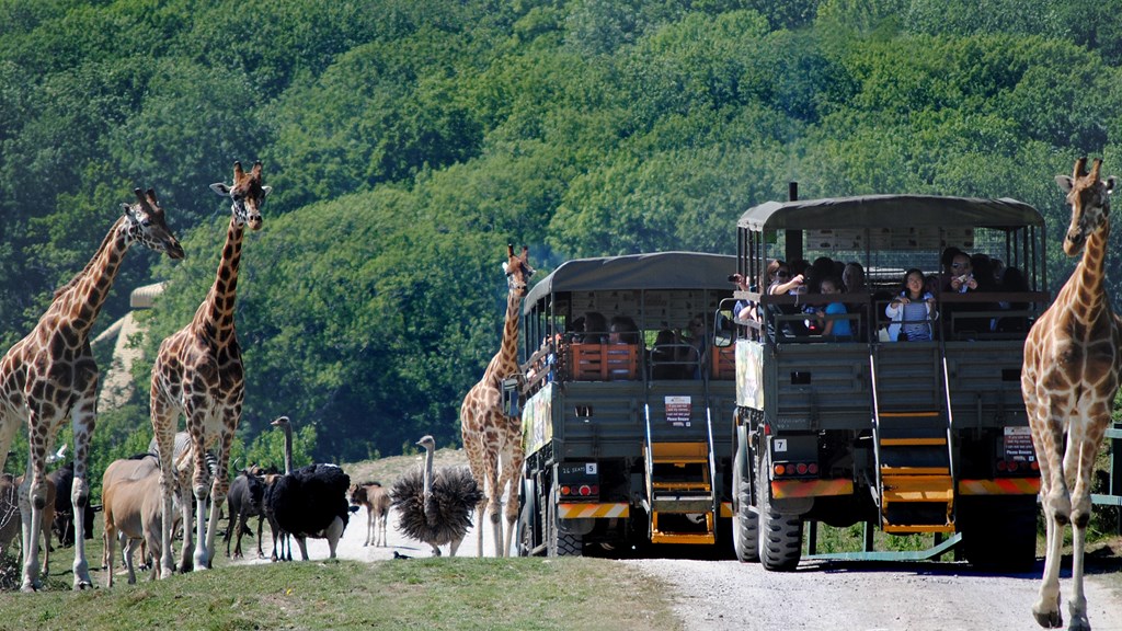PORT LYMPNE RESERVE HEADER