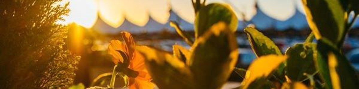 Ashford Designer Outlet - sunset.jpg