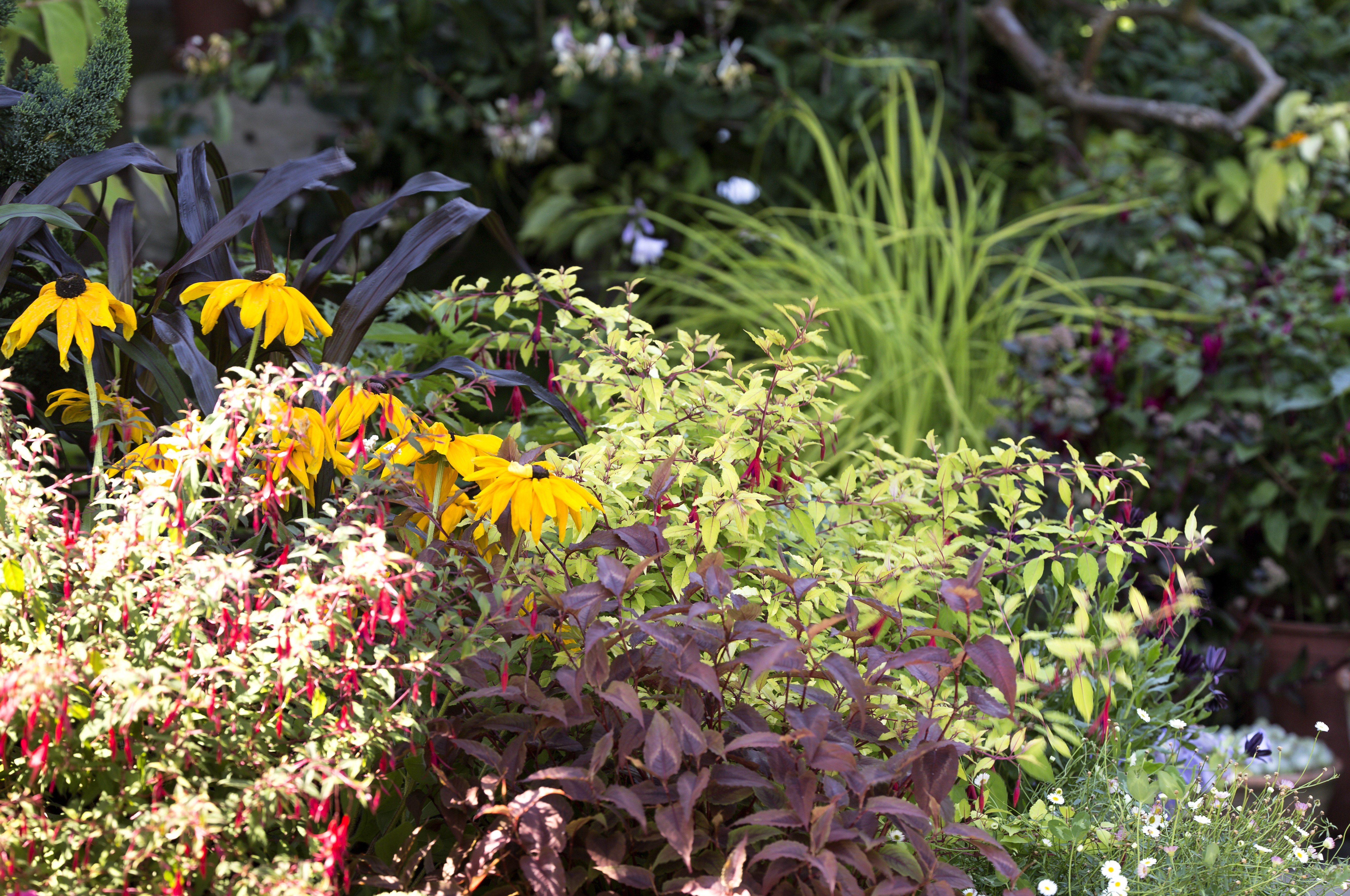 Summer Flowers (Lewis J Brockway)