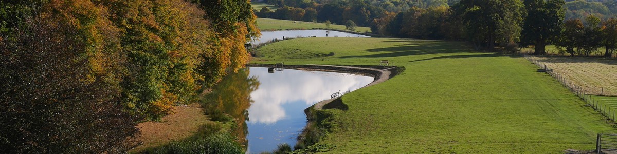 Tenterden Trout WatersAerial Shot.jpg (c).jpg