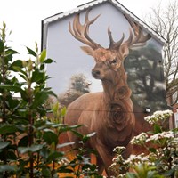 230330 ABC Murals 047 Cropped