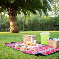 Picnic 4