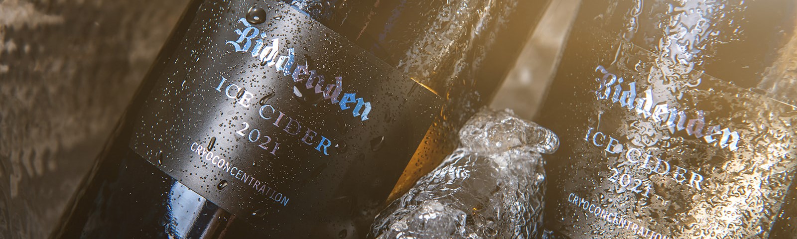 Biddenden Icecidersummer 110422 2