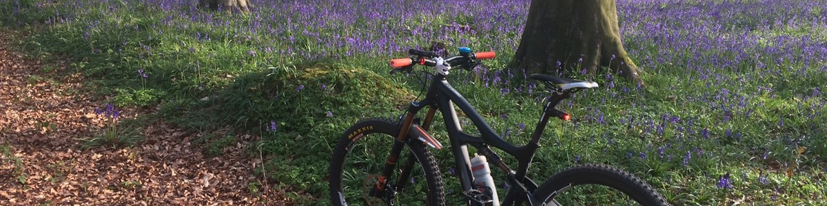 AH Bluebells+Bike Kings Wood.jpg
