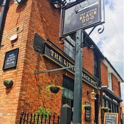 The Little Black Dog